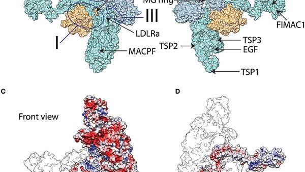graphical abstract image